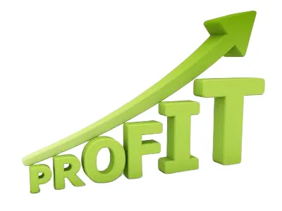 افزایش سودآوری و رشد پایدار: هدف نهایی هر کسب و کاری!